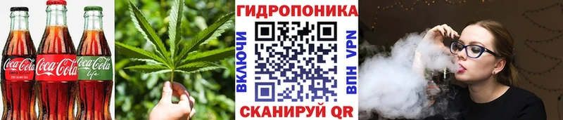 Cannafood конопля  Гаврилов-Ям 