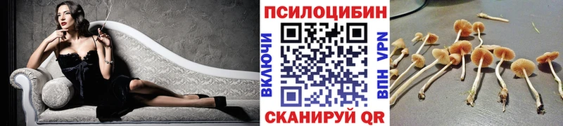 Галлюциногенные грибы GOLDEN TEACHER  Гаврилов-Ям 